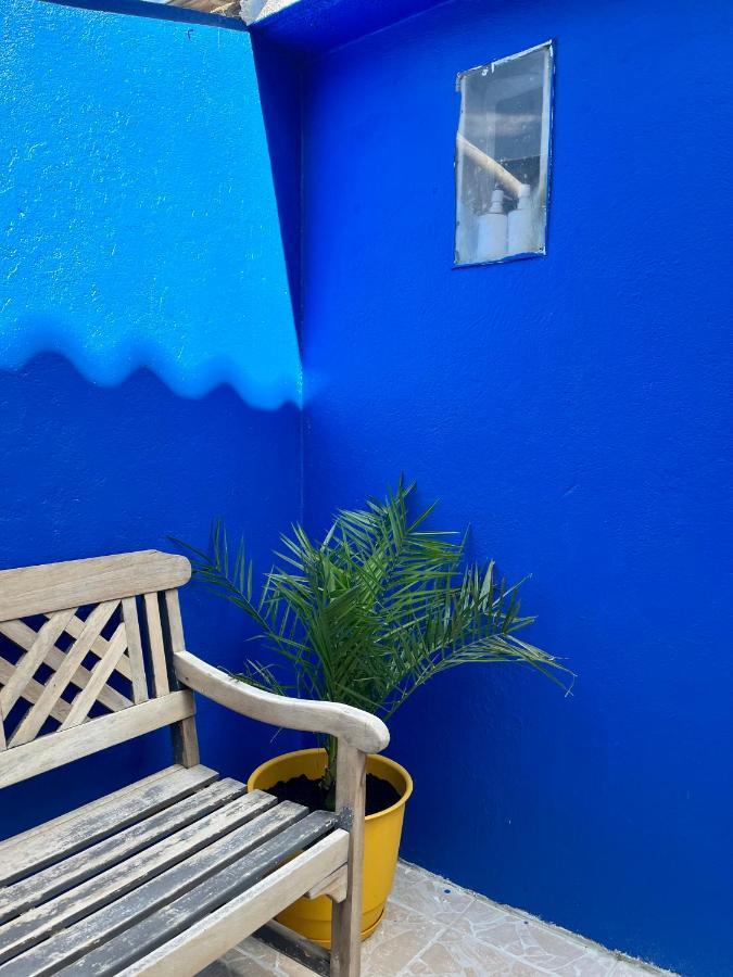 Petite Majorelle *